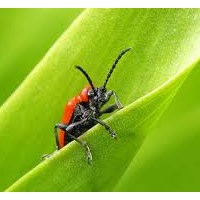 Портфолио Jason Crabb